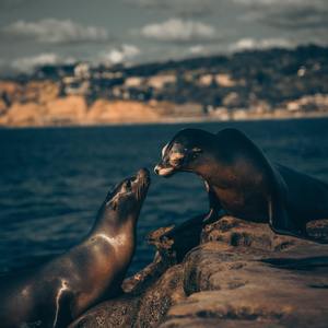 ❌❌❌❌少妇XXXX69
